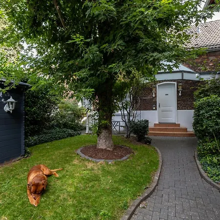 Fischerhaus מלון 2*